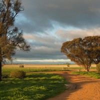 Edenhope Image