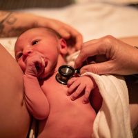 Pregnancy and infants Image