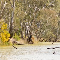 Horsham Image