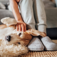 Home and Community Care Image
