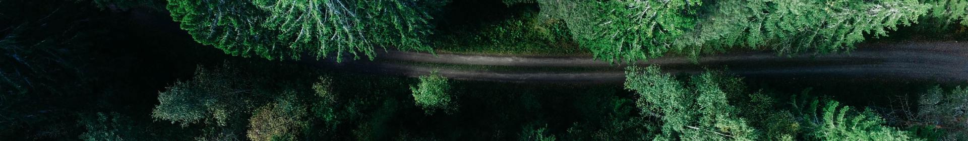 Page Header Image