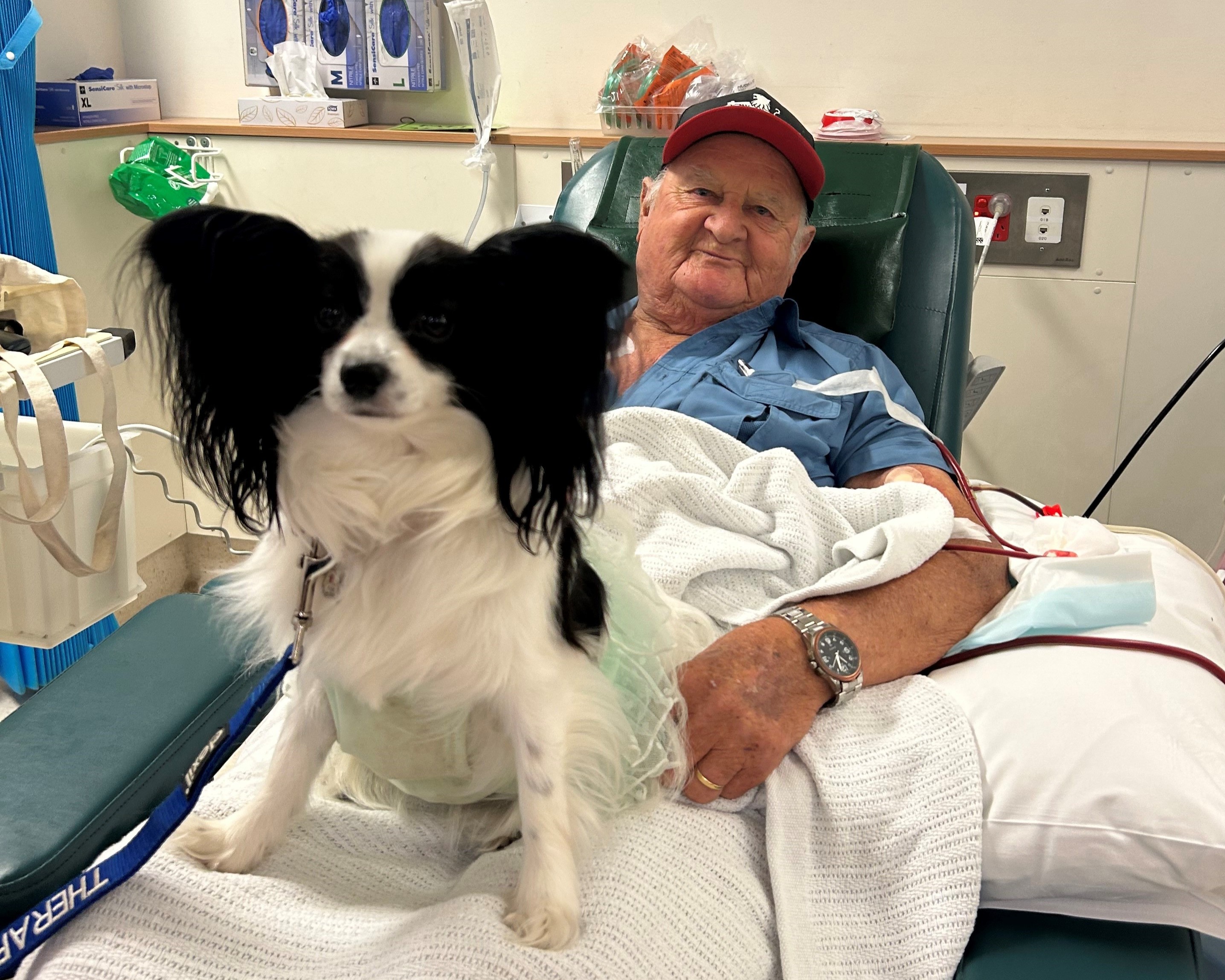 Paws on Wards therapy dog Princess Dakota visits with Grampians Health Ballarat Dialysis patient Doug. Paws on Wards therapy dog Princess Dakota visits with Grampians Health Ballarat Dialysis patient Doug.